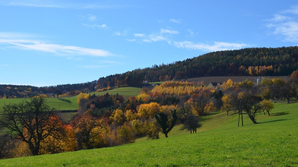 Wanderung M4 Fichtenbründl-Weg - Bad Waltersdorf - Touren-Impression #2.1 | © TV Thermen- & Vulkanland