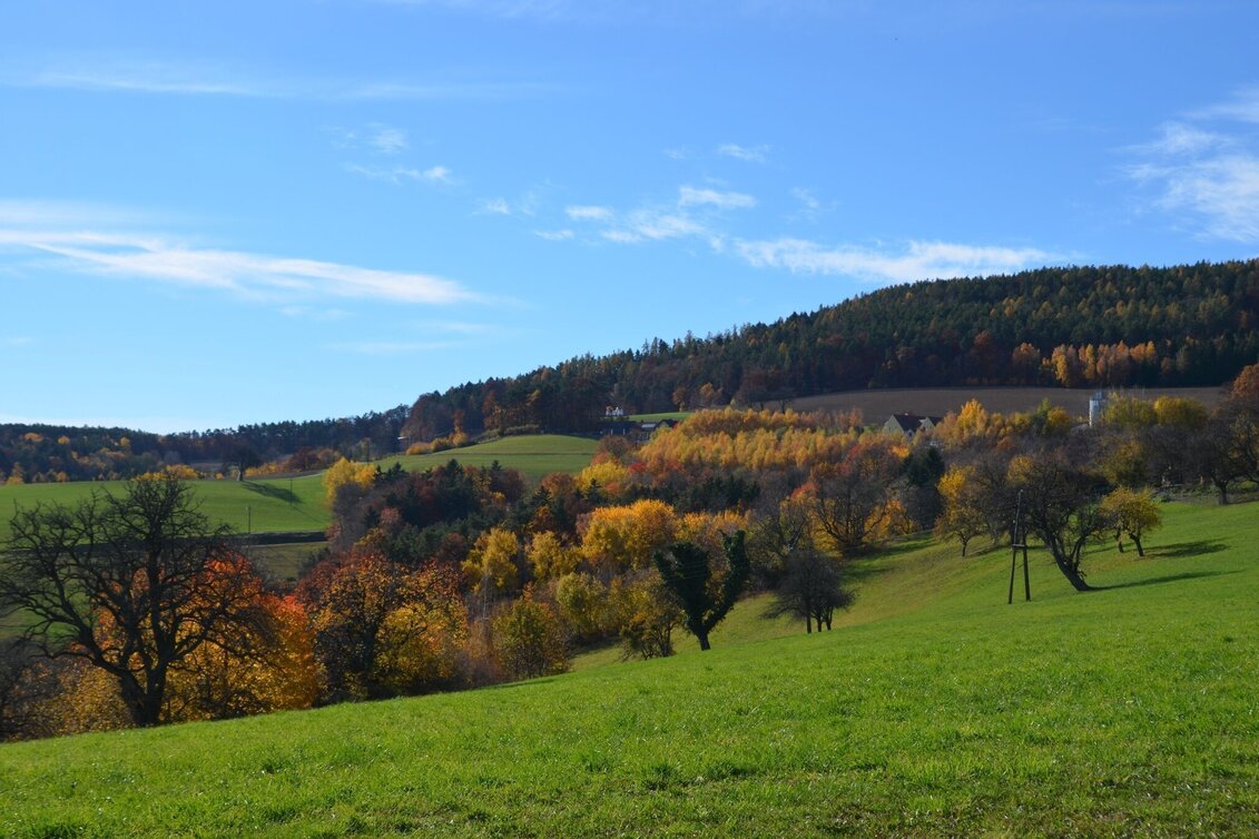 Wanderung M4 Fichtenbründl-Weg - Bad Waltersdorf - Touren-Impression #1 | © TV Thermen- & Vulkanland
