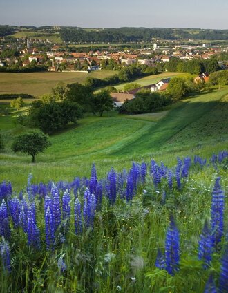 Aublick auf die Stadt Feldbach | Conterfei | © Thermen- & Vulkanland