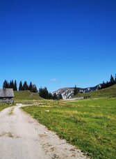 Weißalm | © TV Hochsteiermark | Brigitte Digruber | © TV Hochsteiermark
