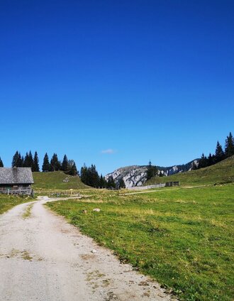 Weißalm | Brigitte Digruber | © TV Hochsteiermark