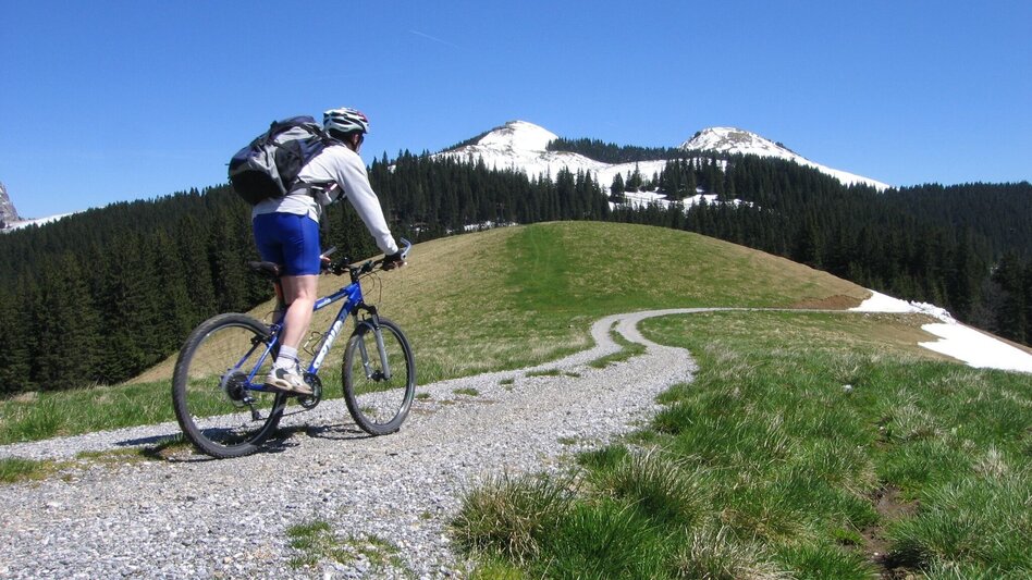Mountain Biking Mountain Bike Pilgrimage in the Mürzer Oberland - Touren-Impression #2.2 | © TV Hochsteiermark