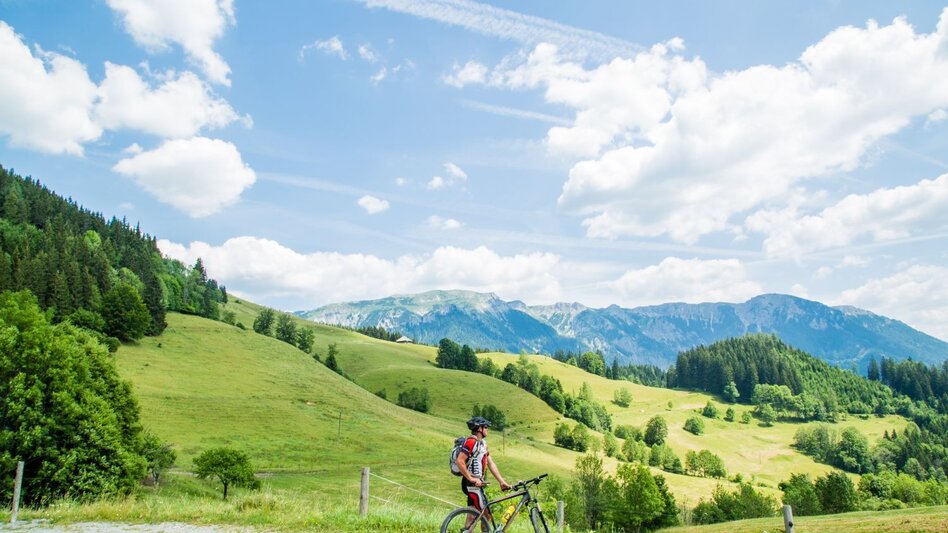 Mountain Biking Mountain Bike Pilgrimage in the Mürzer Oberland - Touren-Impression #2.8 | © TV Hochsteiermark