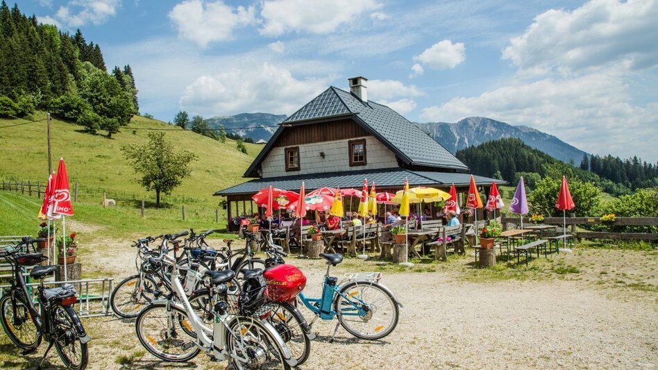 Mountain Biking Mountain Bike Pilgrimage in the Mürzer Oberland - Touren-Impression #2.9 | © TV Hochsteiermark
