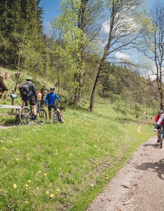 ebike_wallfahrt___tv_hochsteiermark_nicoleseiser.at_124.jpg | nicoleseiser.at | © TV Hochsteiermark