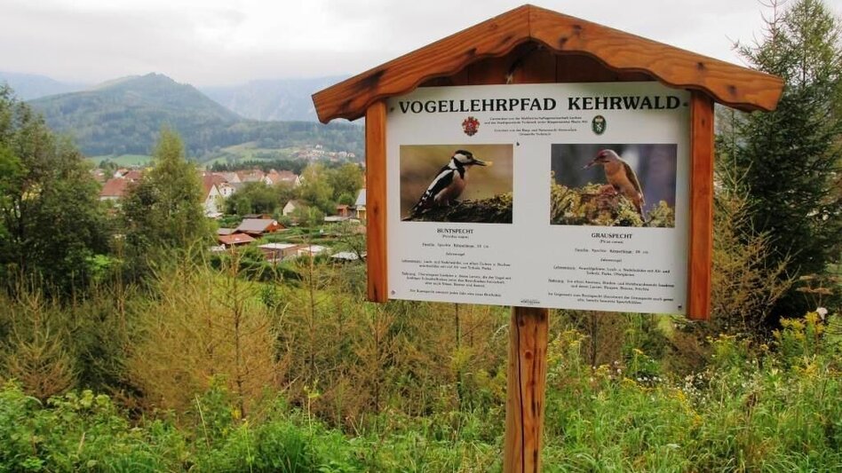Family Hiking Trail Vogellehrpfad Kehrwald - Touren-Impression #2.1 | © TV Erzberg Leoben