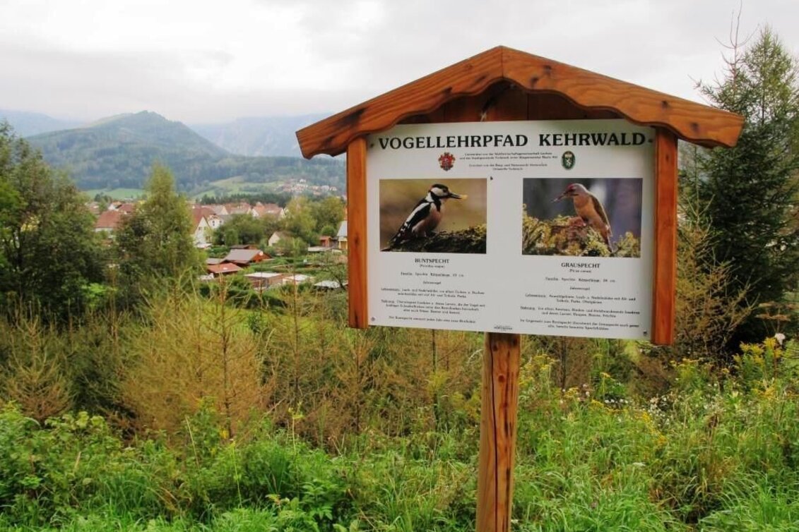 Family Hiking Trail Vogellehrpfad Kehrwald - Touren-Impression #1 | © TV Erzberg Leoben