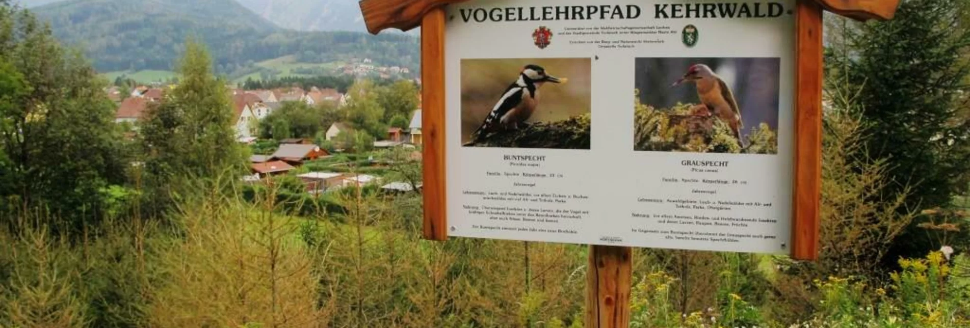Vogellehrpfad Kehrwald | © Hochsteiermark
