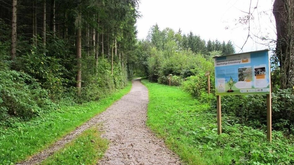 Family Hiking Trail Vogellehrpfad Kehrwald - Touren-Impression #2.2 | © TV Erzberg Leoben