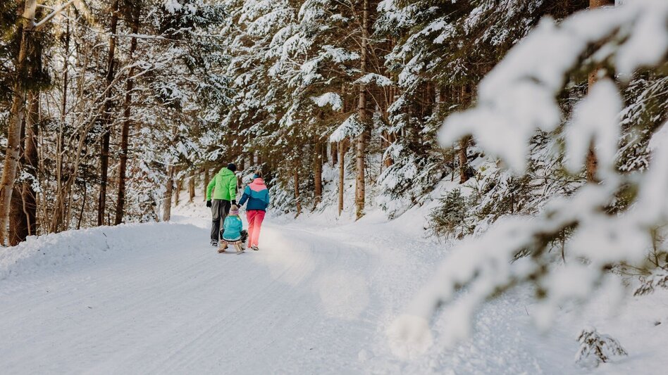 Winterwandern Fegenberg Rundmeile - Touren-Impression #2.3 | © TV Hochsteiermark
