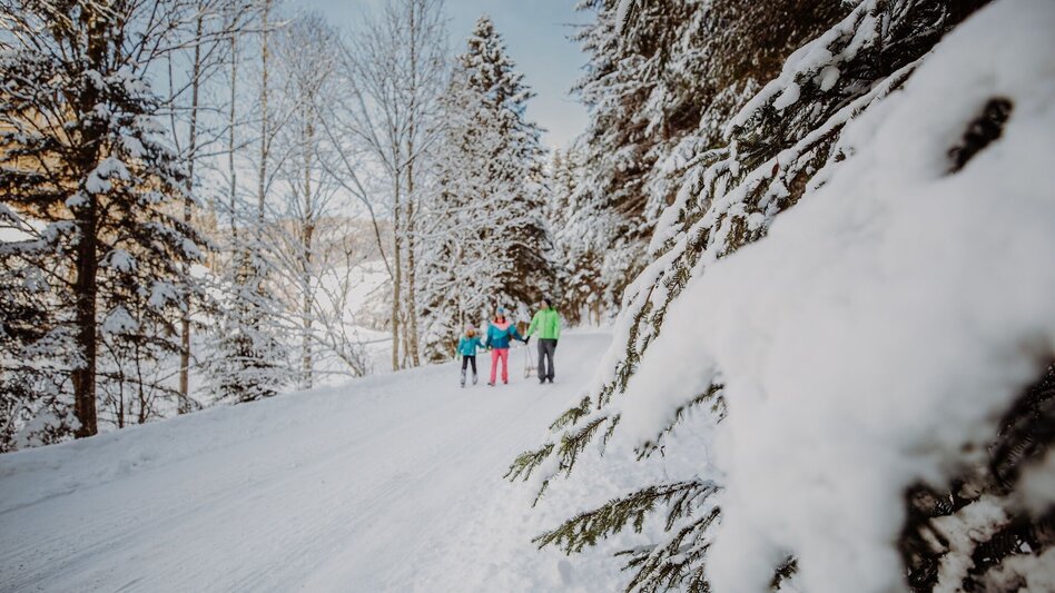 Winterwandern Fegenberg Rundmeile - Touren-Impression #2.4 | © TV Hochsteiermark