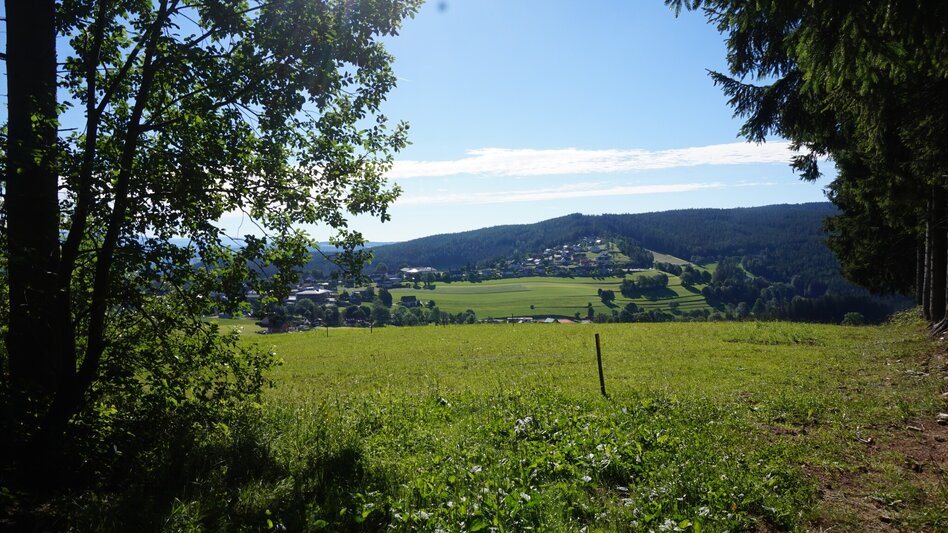 Wanderung Moos, Farne und Kräuter, Fischbach - Touren-Impression #2.5 | © Oststeiermark Tourismus