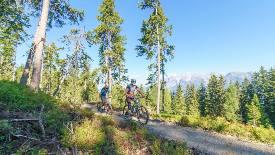 Mountain Biking Planai Tour | 304 - Touren-Impression #2.3 | © Erlebnisregion Schladming-Dachstein