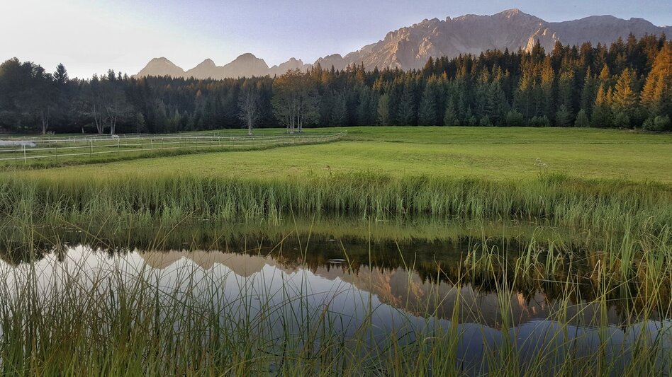 Mountain Biking Ramsau Tour | 307 - Touren-Impression #2.1 | © Erlebnisregion Schladming-Dachstein