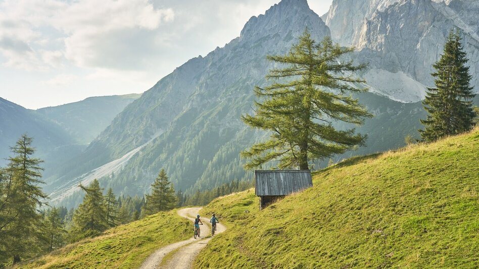 Mountain Biking Panorama Tour | 305 - Touren-Impression #2.4 | © Erlebnisregion Schladming-Dachstein