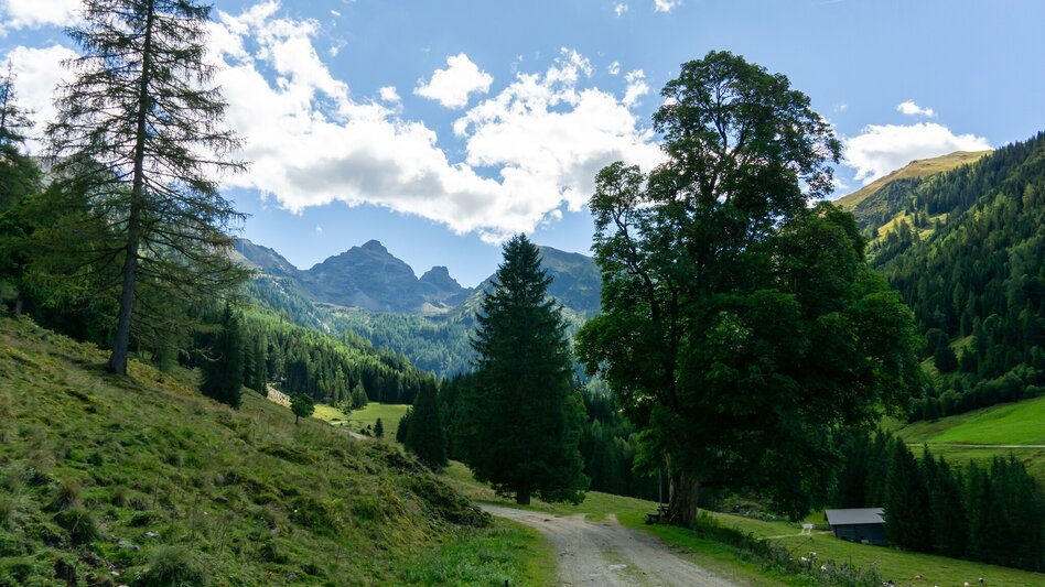 Mountain Biking Five-Mountains Tour | 310 - Touren-Impression #2.7