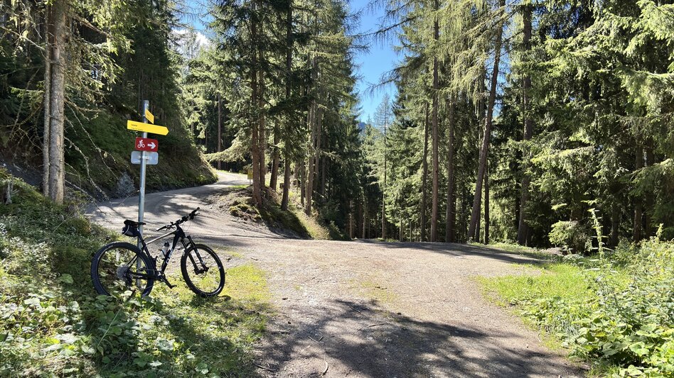 Mountain Biking Five-Mountains Tour | 310 - Touren-Impression #2.10