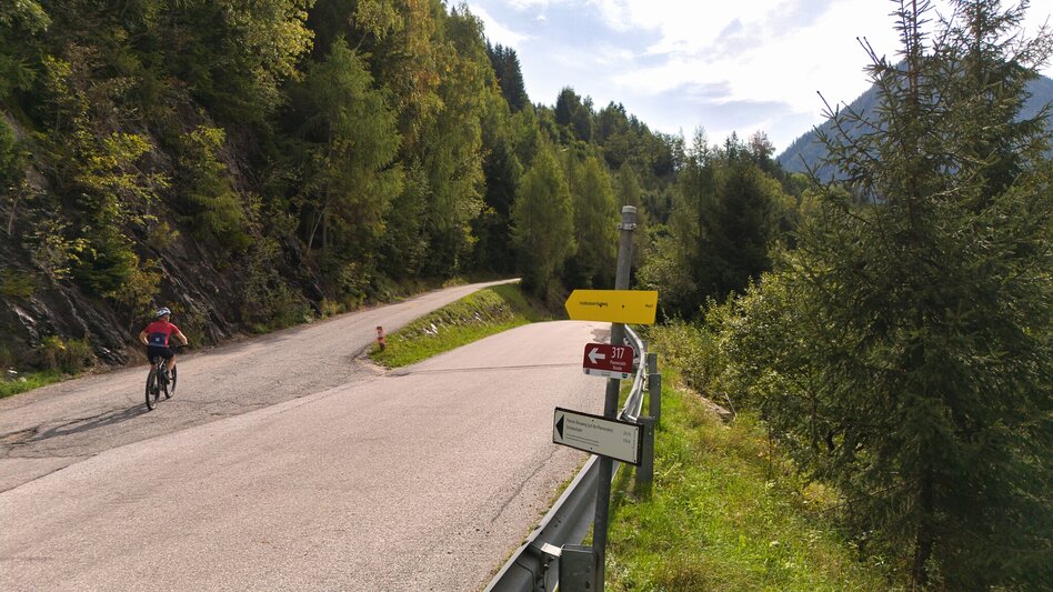 Mountain Biking Planneralm Tour | 317 - Touren-Impression #2.2
