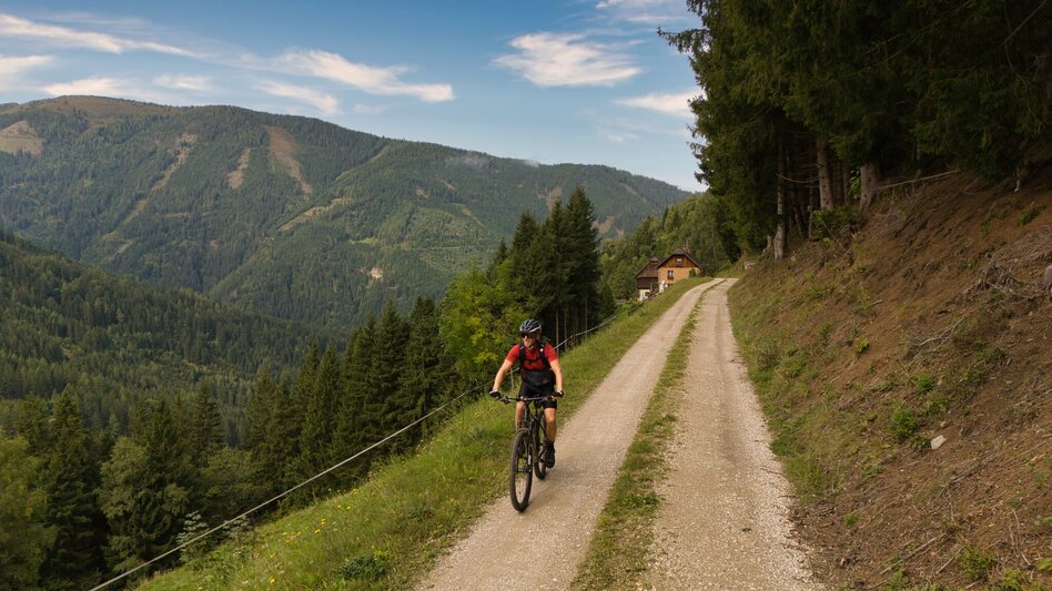 Mountain Biking Planneralm Tour | 317 - Touren-Impression #2.4