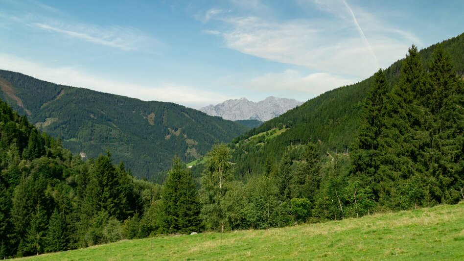 Mountain Biking Planneralm Tour | 317 - Touren-Impression #2.5