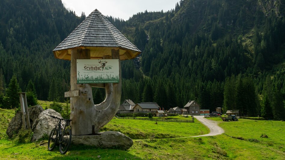 Mountain Biking Planneralm Tour | 317 - Touren-Impression #2.10
