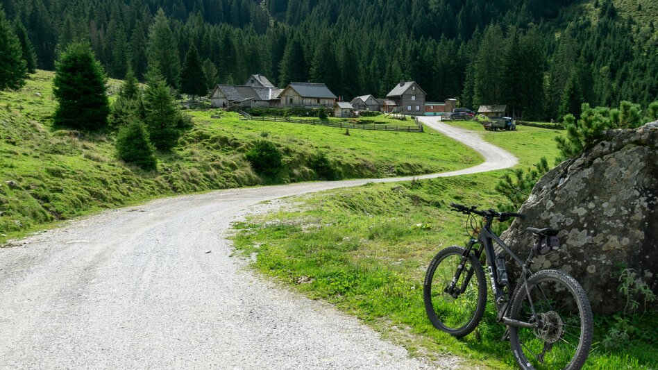 Mountain Biking Planneralm Tour | 317 - Touren-Impression #2.11