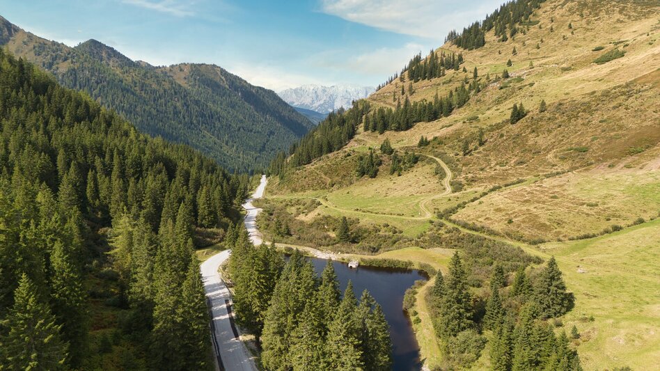Mountain Biking Planneralm Tour | 317 - Touren-Impression #2.16