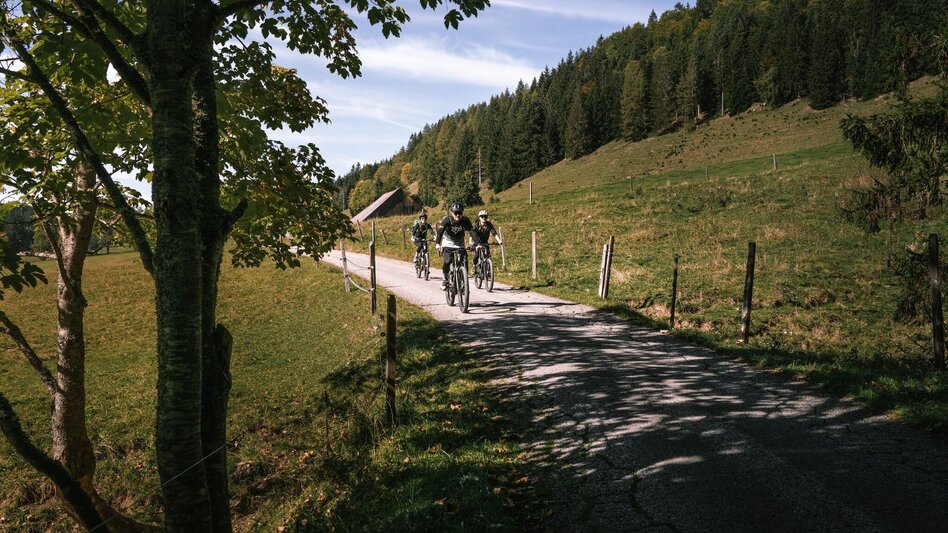 Mountainbike Spechtensee Runde  | 315 - Touren-Impression #2.1 | © Erlebnisregion Schladming-Dachstein