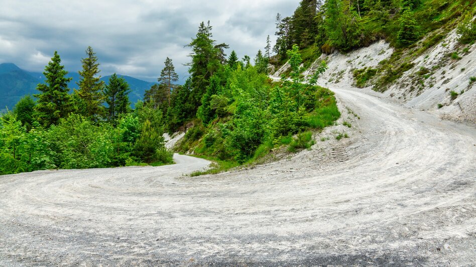 Mountainbike Stoderzinken Runde | 313 - Touren-Impression #2.7