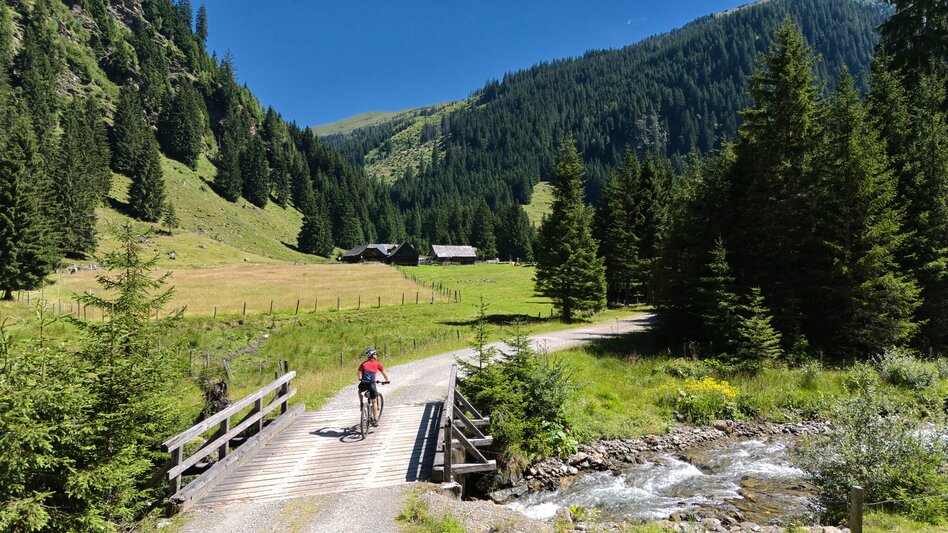 Mountain Biking Stallaalm Tour | 319 - Touren-Impression #2.3