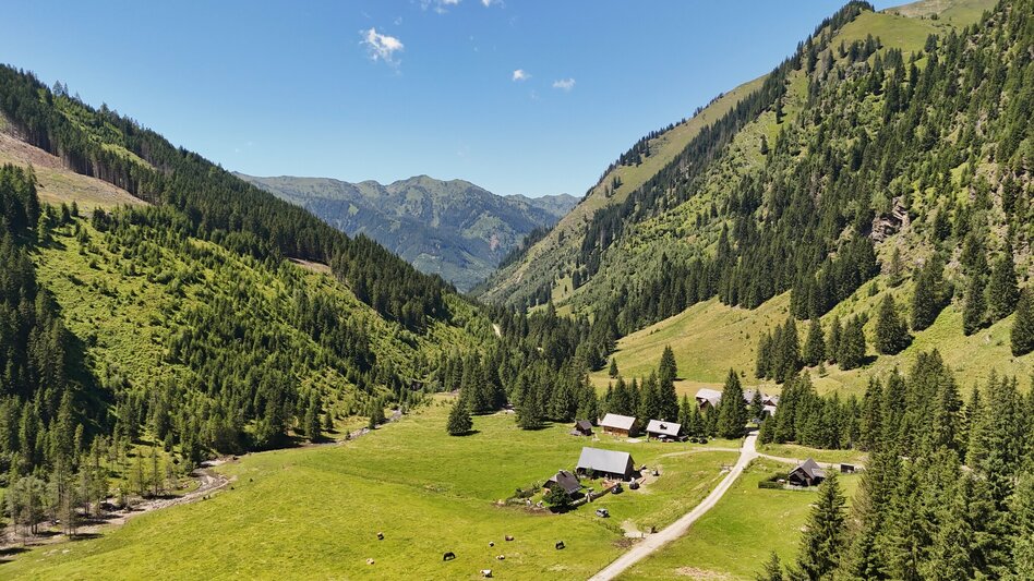 Mountain Biking Stallaalm Tour | 319 - Touren-Impression #2.5