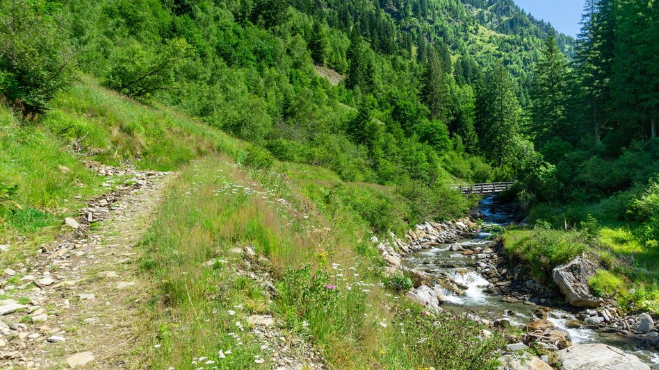 Mountain Biking Stallaalm Tour | 319 - Touren-Impression #2.8