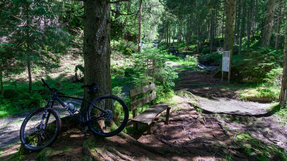 Mountain Biking Stallaalm Tour | 319 - Touren-Impression #2.9