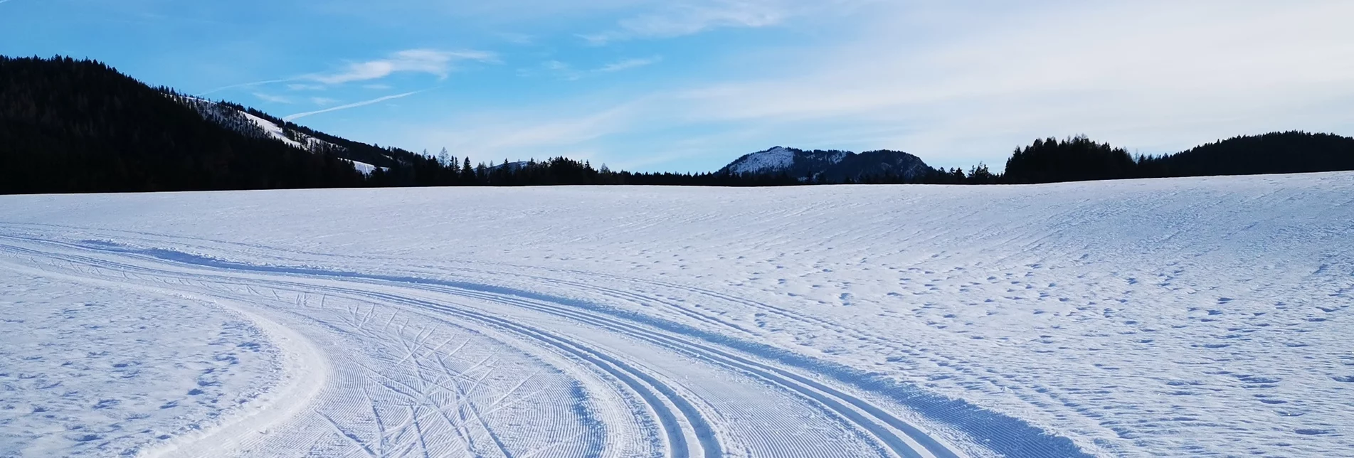 Cross-Country Skiing Erlaufloipe Mitterbach (classic and skating) - Touren-Impression #1 | © TV Hochsteiermark