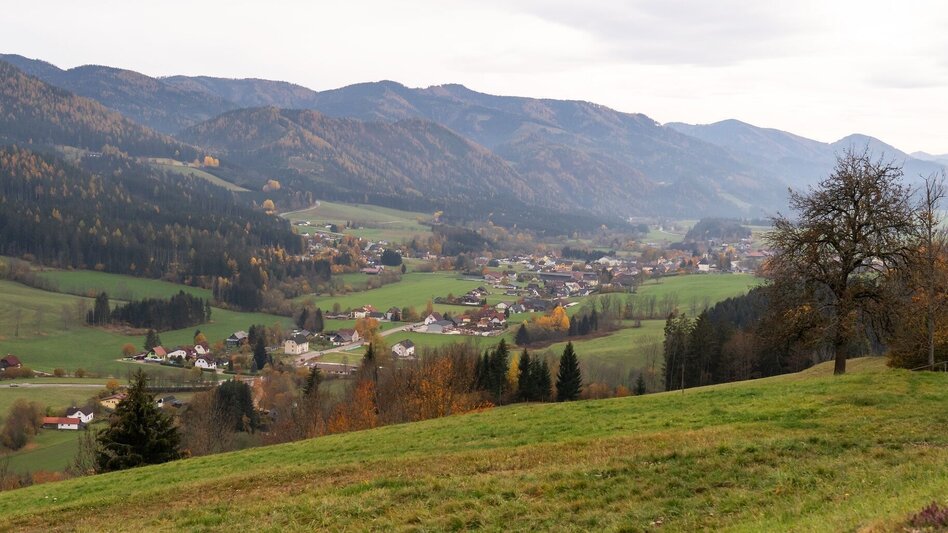 Family Hiking Trail Jacobs Way Turnau - Touren-Impression #2.4 | © TV Hochsteiermark