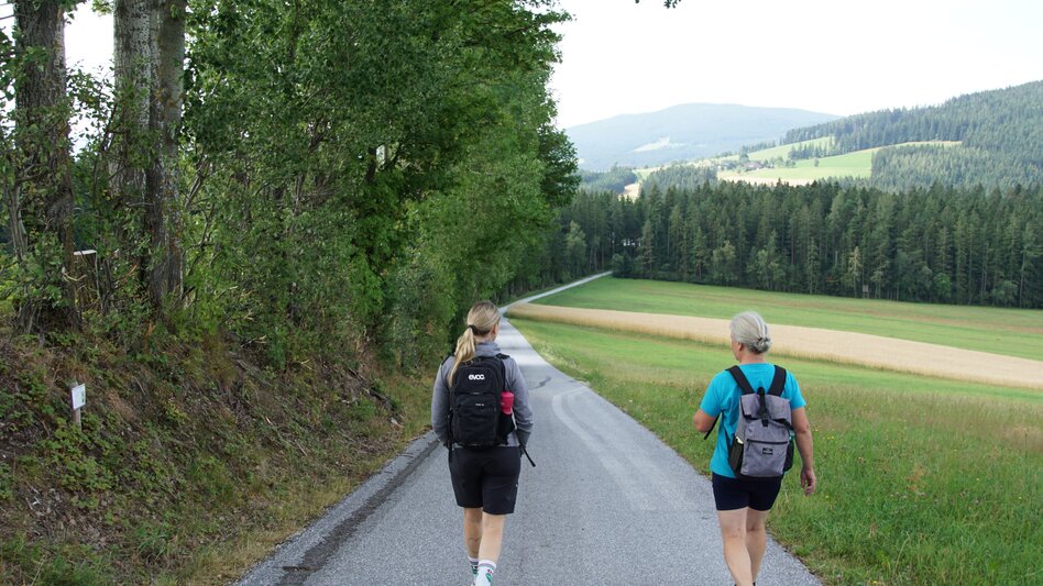 Wanderung Kraftpfad Wenigzell - Touren-Impression #2.2 | © Oststeiermark Tourismus