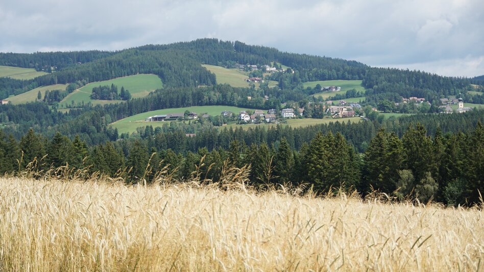Wanderung Kraftpfad Wenigzell - Touren-Impression #2.5 | © Oststeiermark Tourismus