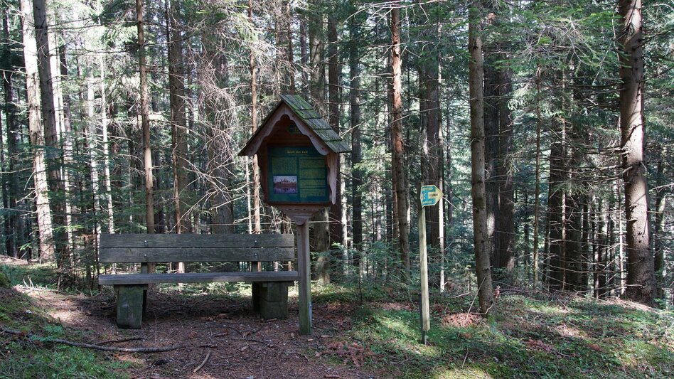 Wanderung Kraftpfad Wenigzell - Touren-Impression #2.6 | © Oststeiermark Tourismus