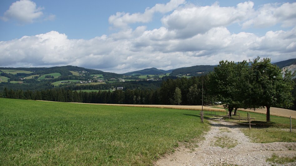 Wanderung Kraftpfad Wenigzell - Touren-Impression #2.7 | © Oststeiermark Tourismus