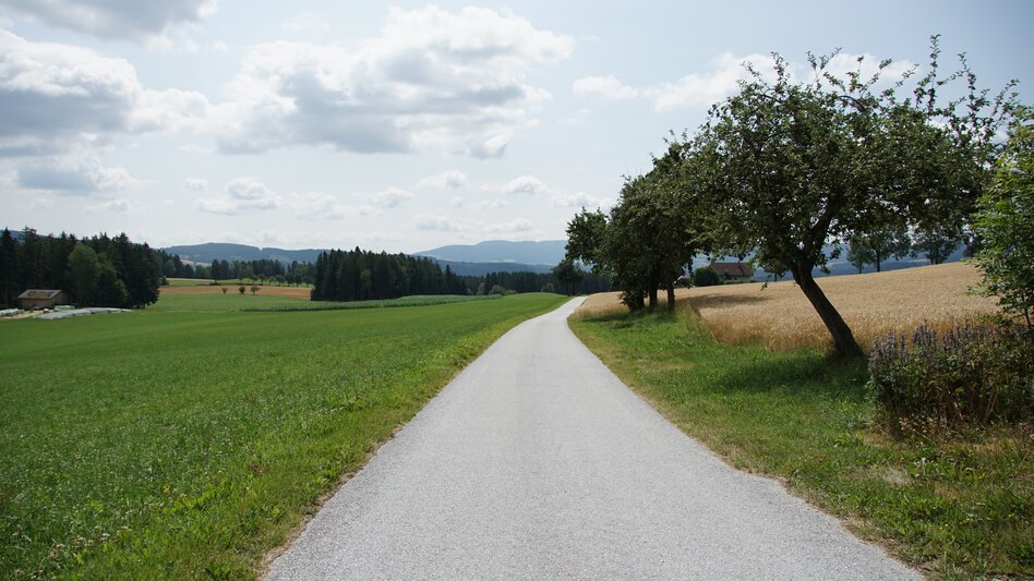 Wanderung Kraftpfad Wenigzell - Touren-Impression #2.8 | © Oststeiermark Tourismus
