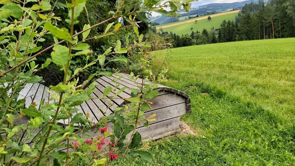 Hiking Route Path of the labyrinths, Birkfeld - Touren-Impression #2.7 | © Oststeiermark Tourismus