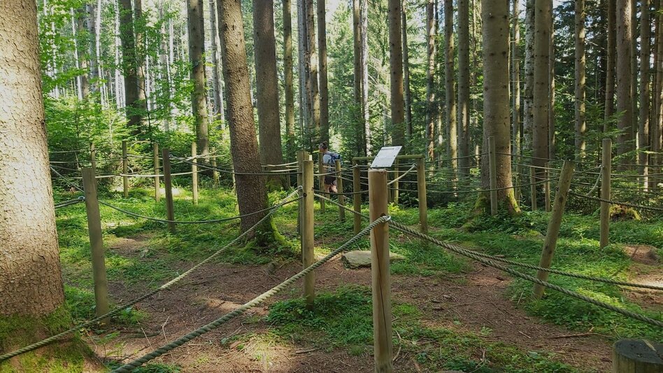 Hiking Route Path of the labyrinths, Birkfeld - Touren-Impression #2.5 | © Oststeiermark Tourismus