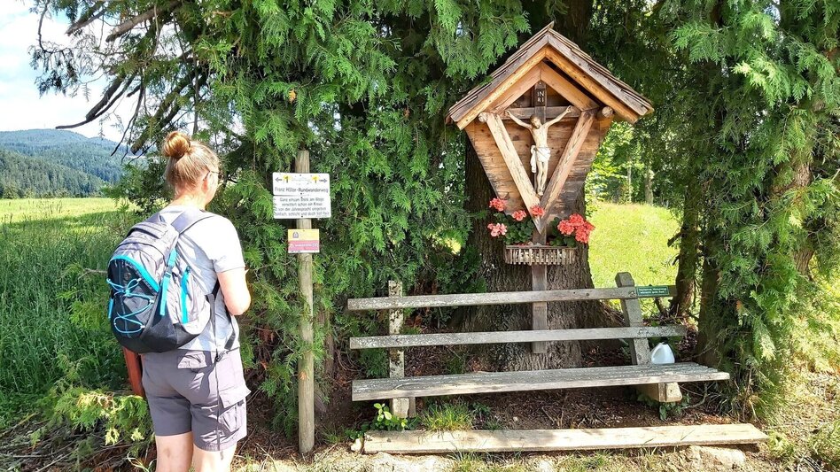 Hiking Route Path of the labyrinths, Birkfeld - Touren-Impression #2.4 | © Oststeiermark Tourismus