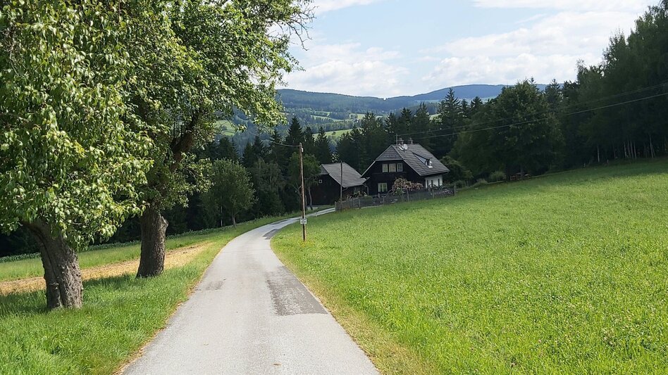 Hiking Route Path of the labyrinths, Birkfeld - Touren-Impression #2.3 | © Oststeiermark Tourismus