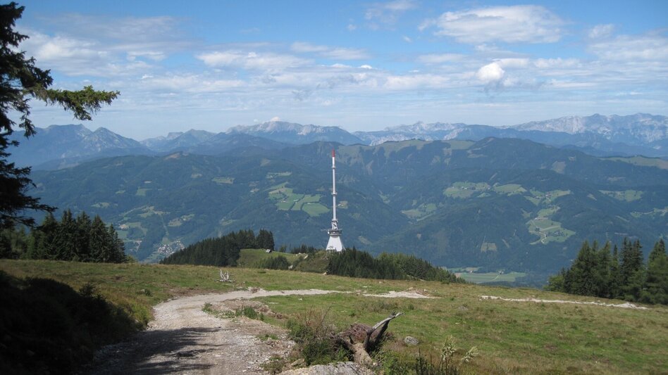 Mountain Biking Mugel MTB  - Touren-Impression #2.1 | © Tourismusverband ERZBERG LEOBEN