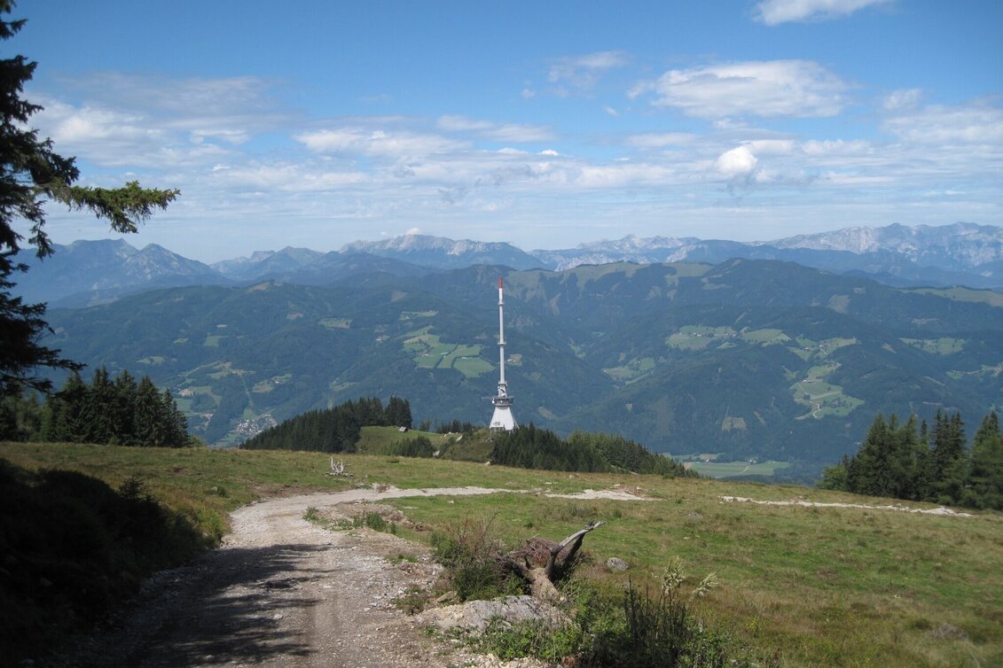 Mountain Biking Mugel MTB  - Touren-Impression #1 | © Tourismusverband ERZBERG LEOBEN