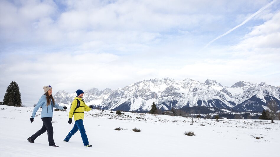 Winter Hiking Winter Walk in Rohrmoos - Touren-Impression #2.1 | © Photo Austria - Martin Huber
