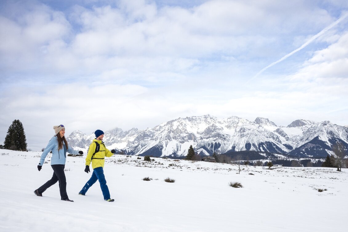 Winter Hiking Winter Walk in Rohrmoos - Touren-Impression #1 | © Photo Austria - Martin Huber