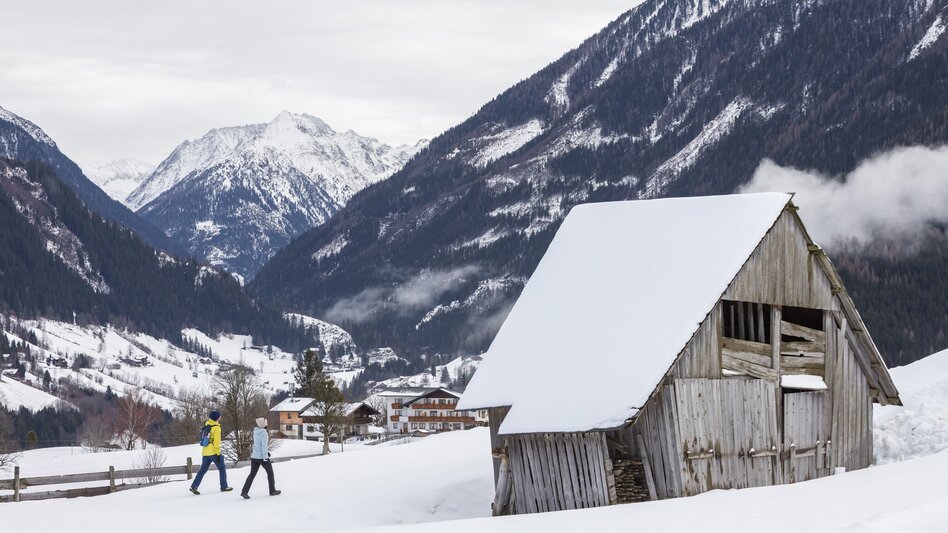 Winter Hiking Winter Walk in Rohrmoos - Touren-Impression #2.3 | © Photo Austria - Martin Huber