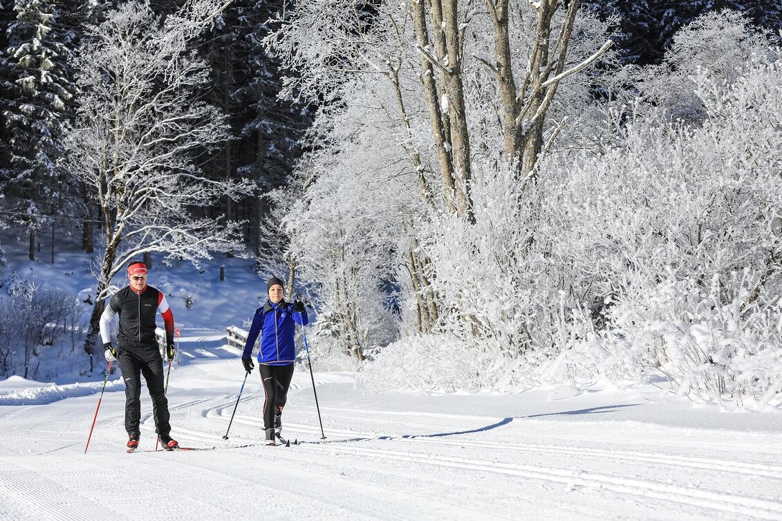 Langlauf Skating Almenrunde Skatingloipe - Touren-Impression #1 | © Tourismusverband Schladming - Martin Huber